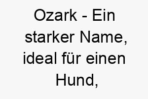 ozark ein starker name ideal fuer einen hund der berge oder das wandern liebt 23939