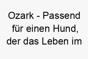 ozark passend fuer einen hund der das leben im freien liebt 23806