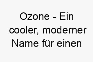 ozone ein cooler moderner name fuer einen aktiven und lebhaften hund 23867