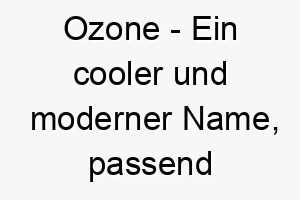 ozone ein cooler und moderner name passend fuer einen energischen oder lebhaften hund 23889