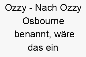 ozzy nach ozzy osbourne benannt waere das ein guter name fuer einen hund mit einer rockigen persoenlichkeit 23780