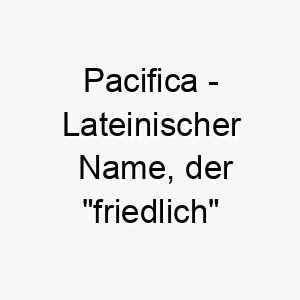 pacifica lateinischer name der friedlich bedeutet 7791 1