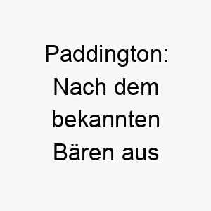 paddington nach dem bekannten baeren aus kinderbuechern ein suesser name fuer einen freundlichen liebenswerten hund 24452