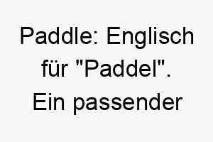 paddle englisch fuer paddel ein passender name fuer einen hund der gerne im wasser ist 24784