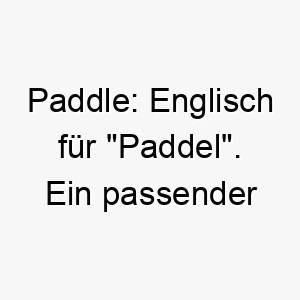 paddle englisch fuer paddel ein passender name fuer einen hund der gerne im wasser ist 24784