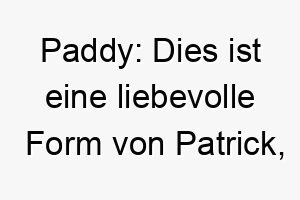 paddy dies ist eine liebevolle form von patrick die edel oder von adliger abstammung bedeutet 24297