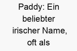 paddy ein beliebter irischer name oft als spitzname fuer patrick verwendet 24776