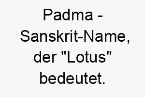 padma sanskrit name der lotus bedeutet 7719