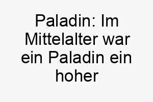 paladin im mittelalter war ein paladin ein hoher ritter der name bedeutet also ritter oder beschuetzer 24731