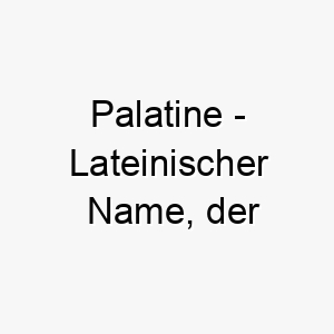 palatine lateinischer name der palastaehnlich bedeutet 7766