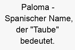 paloma spanischer name der taube bedeutet 7726