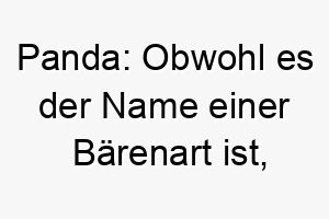 panda obwohl es der name einer baerenart ist koennte es fuer einen schwarz weissen hund passen 24300