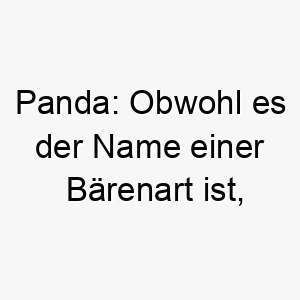 panda obwohl es der name einer baerenart ist koennte es fuer einen schwarz weissen hund passen 24300