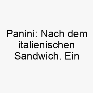 panini nach dem italienischen sandwich ein lustiger und suesser name fuer einen hund 24438