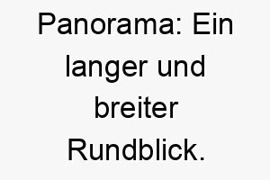 panorama ein langer und breiter rundblick geeignet fuer einen hund mit gutem ueberblick 24448