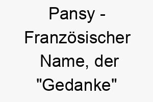 pansy franzoesischer name der gedanke bedeutet 7828