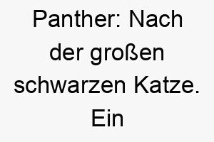 panther nach der grossen schwarzen katze ein kraftvoller name fuer einen athletischen oder schleichenden hund 24729