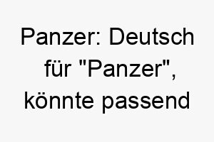 panzer deutsch fuer panzer koennte passend fuer einen starken robusten hund sein 24411