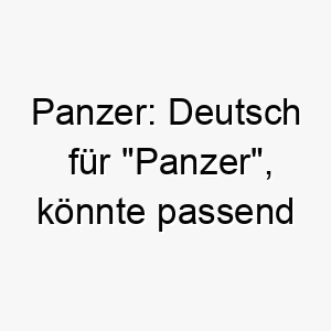 panzer deutsch fuer panzer koennte passend fuer einen starken robusten hund sein 24411