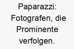 paparazzi fotografen die prominente verfolgen ein passender name fuer einen hund der aufmerksamkeit liebt 24802