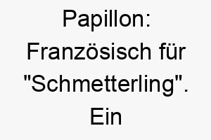 papillon franzoesisch fuer schmetterling ein suesser name fuer einen kleinen oder anmutigen hund 25022