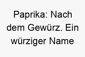 paprika nach dem gewuerz ein wuerziger name fuer einen lebhaften hund 24752