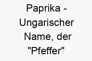 paprika ungarischer name der pfeffer bedeutet 7831