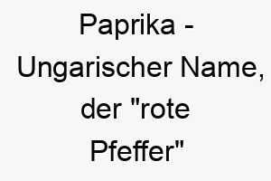 paprika ungarischer name der rote pfeffer bedeutet 7715