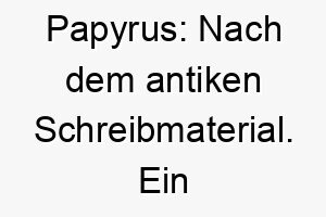 papyrus nach dem antiken schreibmaterial ein passender name fuer einen weisen oder historisch orientierten hund 24469