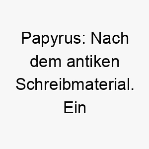 papyrus nach dem antiken schreibmaterial ein passender name fuer einen weisen oder historisch orientierten hund 24469