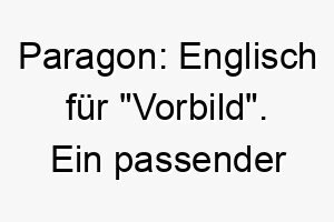 paragon englisch fuer vorbild ein passender name fuer einen vorbildlichen perfekten hund 24751