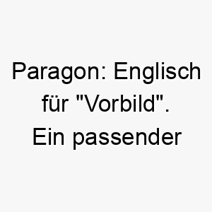 paragon englisch fuer vorbild ein passender name fuer einen vorbildlichen perfekten hund 24751