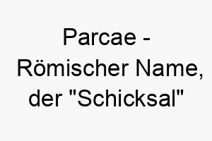 parcae roemischer name der schicksal bedeutet 7789