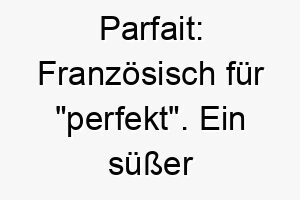 parfait franzoesisch fuer perfekt ein suesser name fuer einen perfekten hund 24764