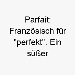 parfait franzoesisch fuer perfekt ein suesser name fuer einen perfekten hund 24764