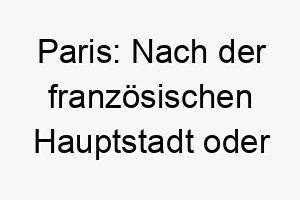 paris nach der franzoesischen hauptstadt oder dem trojanischen prinzen aus der griechischen mythologie 24415