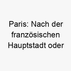 paris nach der franzoesischen hauptstadt oder dem trojanischen prinzen aus der griechischen mythologie 24415