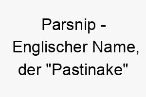 parsnip englischer name der pastinake bedeutet 7770