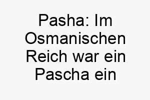 pasha im osmanischen reich war ein pascha ein hoher beamter der name kann von hoher stellung bedeuten 24326