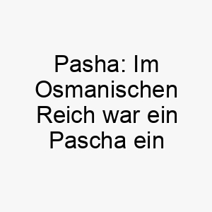 pasha im osmanischen reich war ein pascha ein hoher beamter der name kann von hoher stellung bedeuten 24326