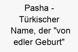 pasha tuerkischer name der von edler geburt bedeutet 7787