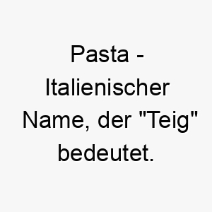 pasta italienischer name der teig bedeutet 7752