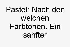 pastel nach den weichen farbtoenen ein sanfter name fuer einen hund mit hellen oder sanften fellfarben 24732