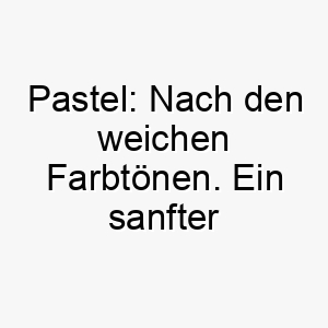 pastel nach den weichen farbtoenen ein sanfter name fuer einen hund mit hellen oder sanften fellfarben 24732