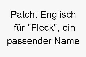 patch englisch fuer fleck ein passender name fuer hunde mit einer besonderen fellmarkierung 24301