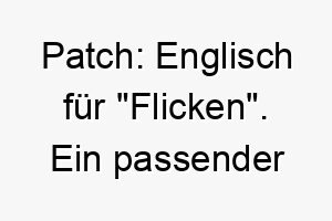 patch englisch fuer flicken ein passender name fuer einen gescheckten oder gefleckten hund 24727