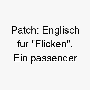 patch englisch fuer flicken ein passender name fuer einen gescheckten oder gefleckten hund 24727