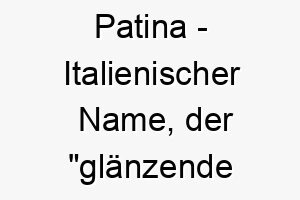 patina italienischer name der glaenzende oberflaeche bedeutet 7742