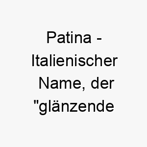 patina italienischer name der glaenzende oberflaeche bedeutet 7742