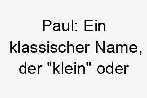 paul ein klassischer name der klein oder demuetig bedeutet 24330